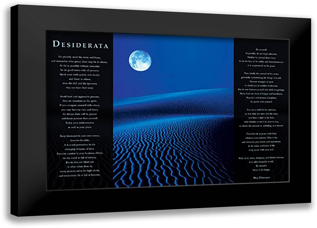 Desiderata 24x20 Black Modern Wood Framed Art Print Poster