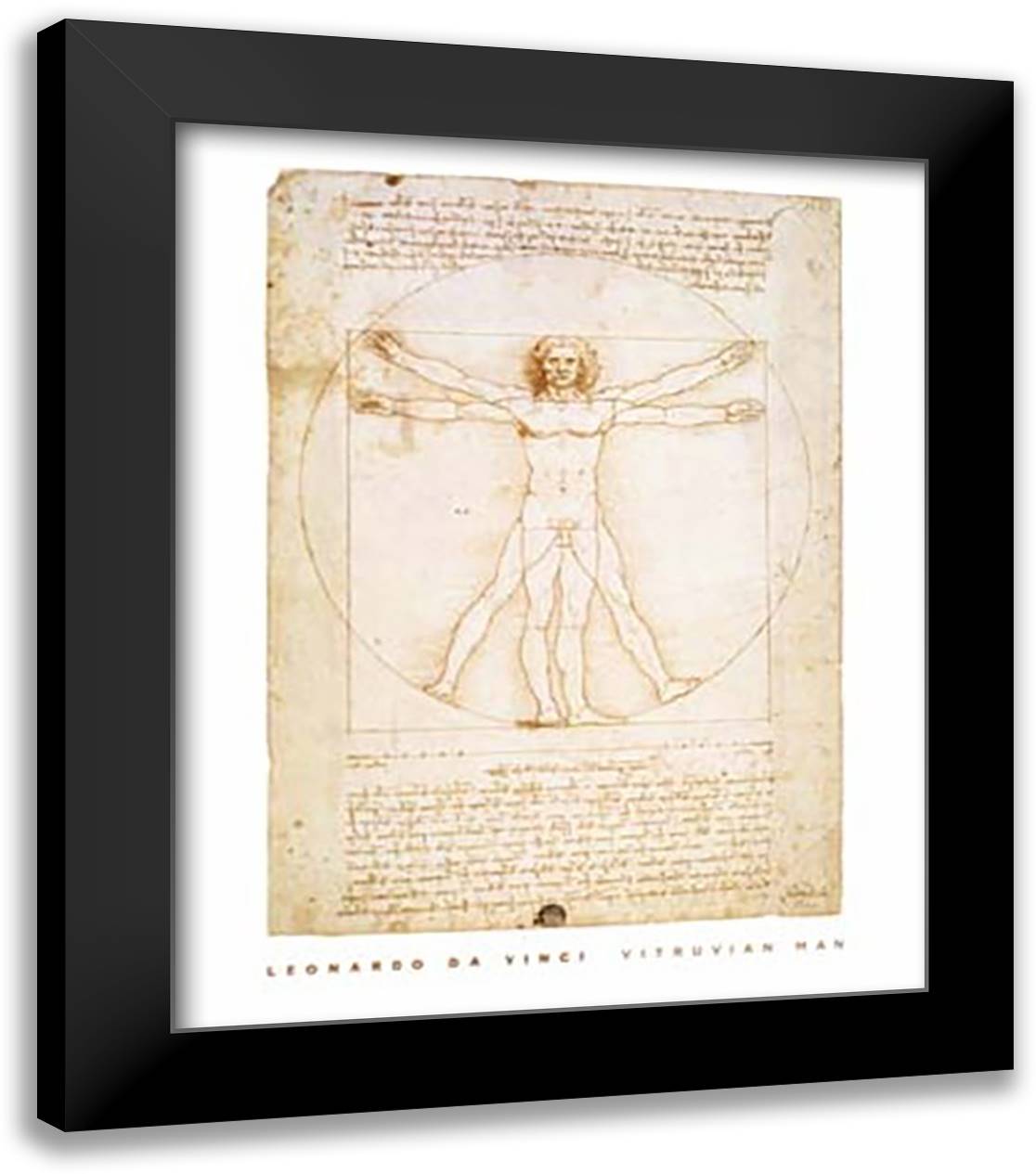 Leonardo DaVinci's Vitruvian M 20x24 Black Modern Wood Framed Art Print Poster