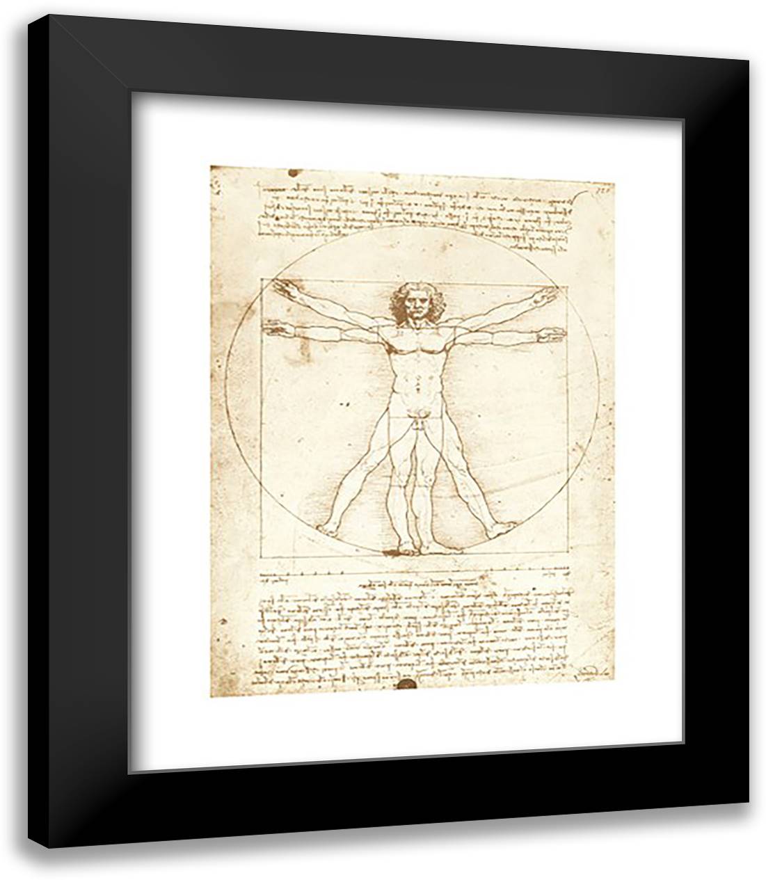 Vitruvian Man, 1492 15x18 Black Modern Wood Framed Art Print Poster by da Vinci, Leonardo