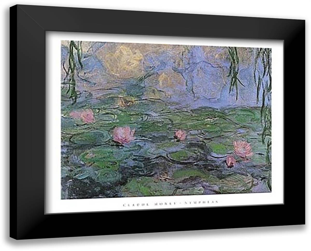 Nympheas 18x15 Black Modern Wood Framed Art Print Poster by Monet, Claude