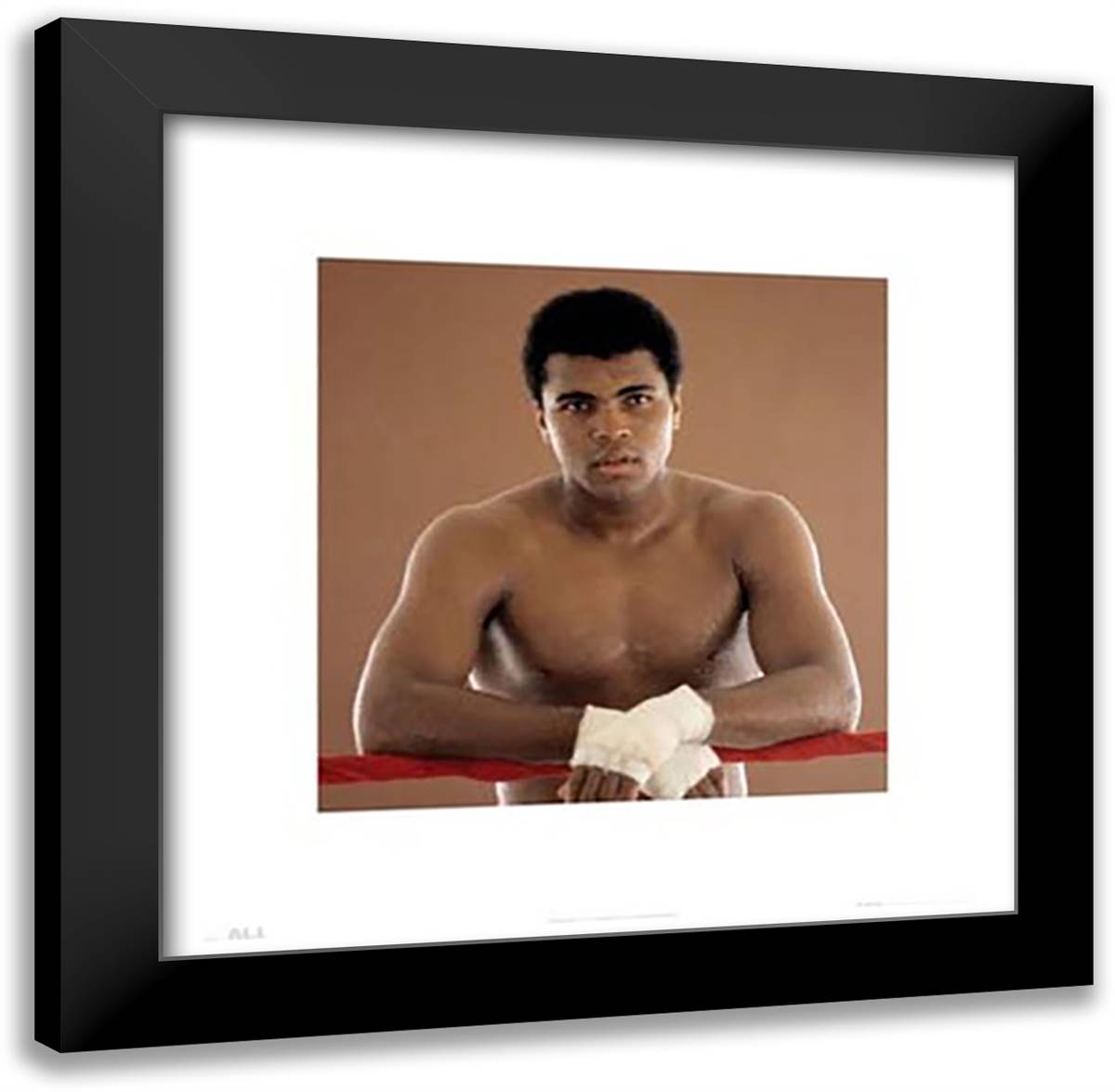 Muhammad Ali Ropes 20x20 Black Modern Wood Framed Art Print Poster