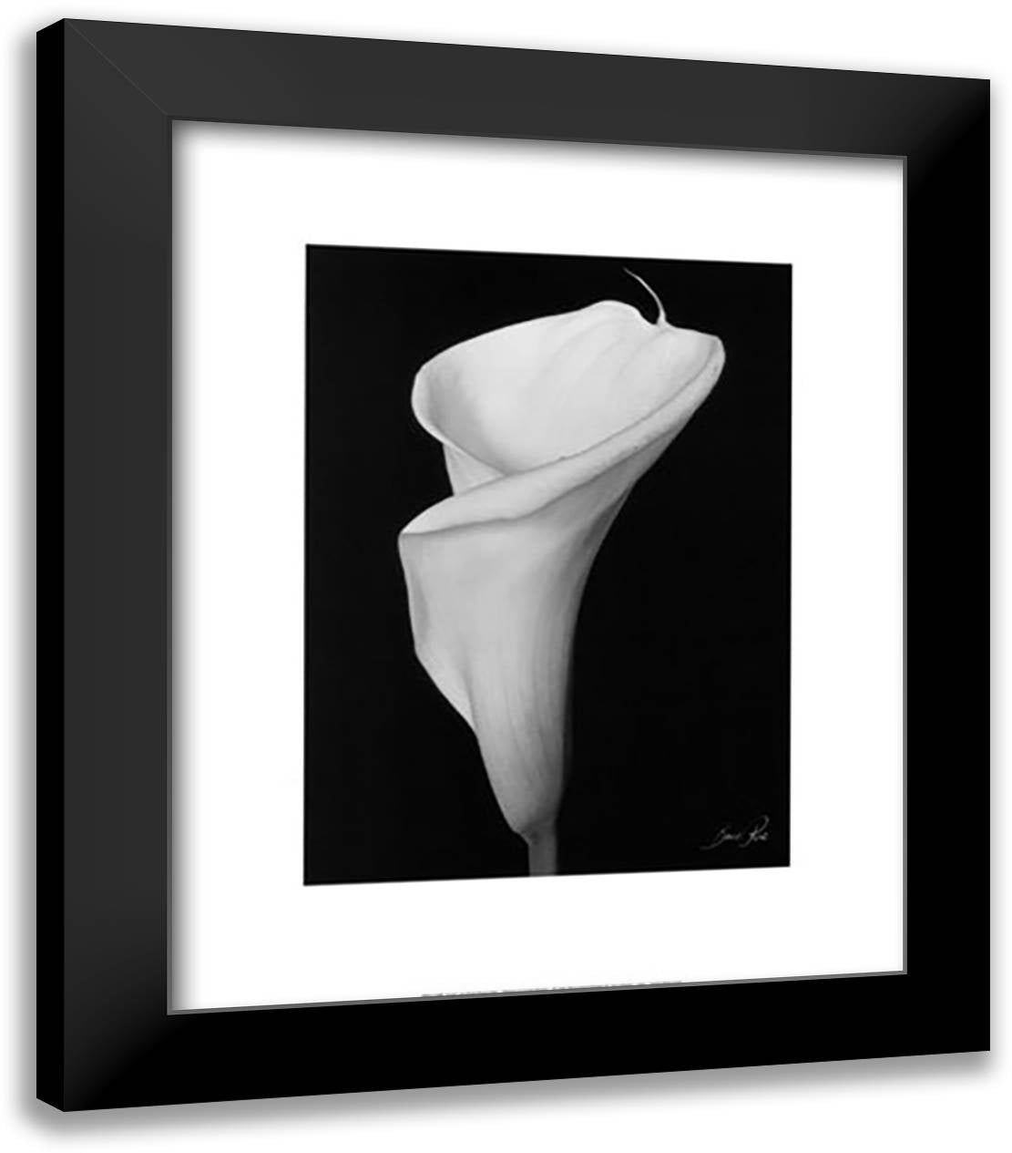 Arum Lily III 20x24 Black Modern Wood Framed Art Print Poster by Rae