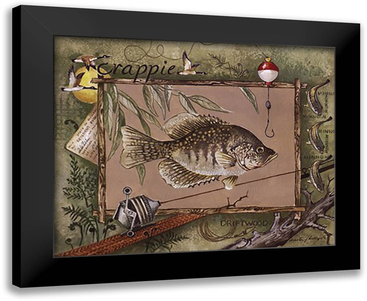 Crappie 18x15 Black Modern Wood Framed Art Print Poster by Phillips, Anita
