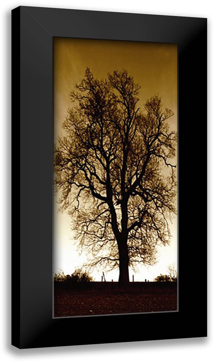 Sepia Trees I 12x24 Black Modern Wood Framed Art Print Poster by Baker, Mark