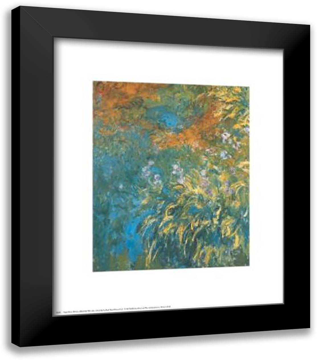 Yellow Iris 20x24 Black Modern Wood Framed Art Print Poster by Monet, Claude