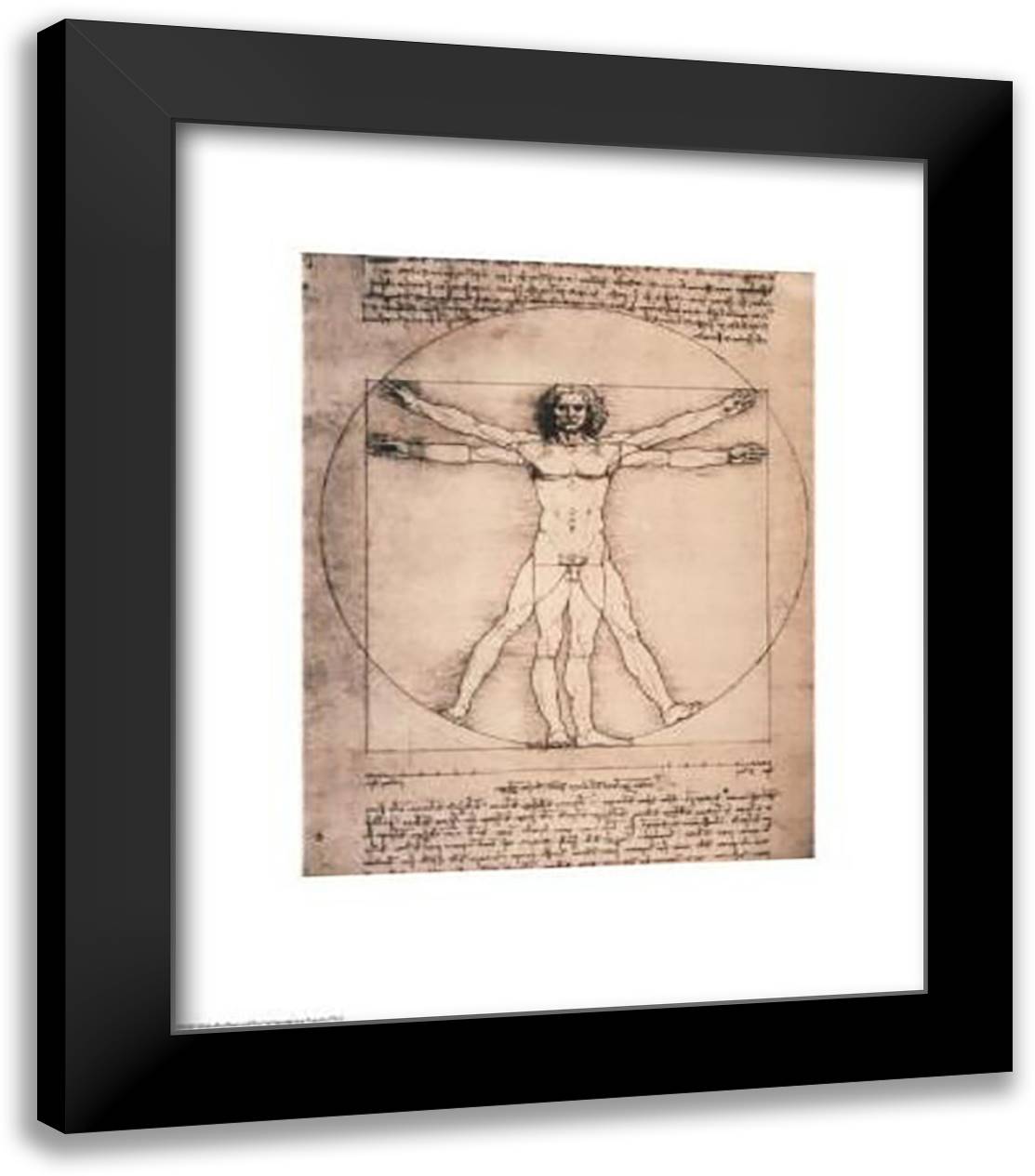 Vitruvian Man, 1492 20x24 Black Modern Wood Framed Art Print Poster by da Vinci, Leonardo