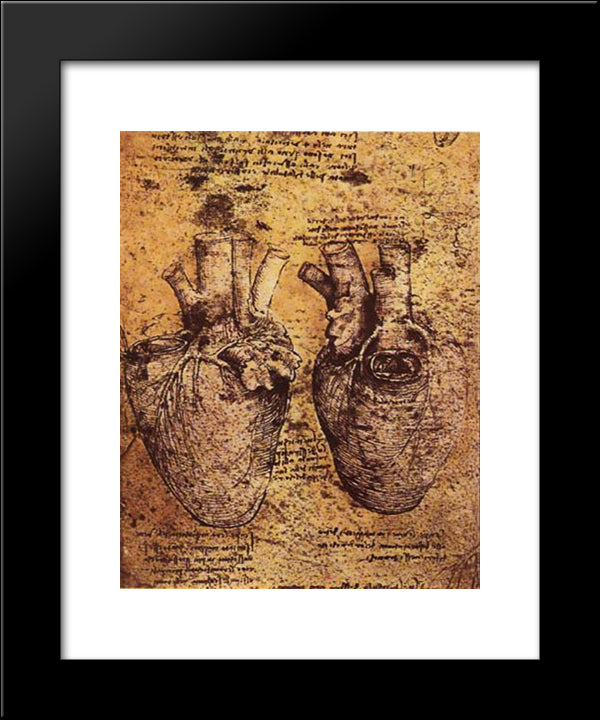 Drawing Of The Heart And Its Blood Vessels, From The Anatomical Notebooks 20x24 Black Modern Wood Framed Art Print Poster by da Vinci, Leonardo