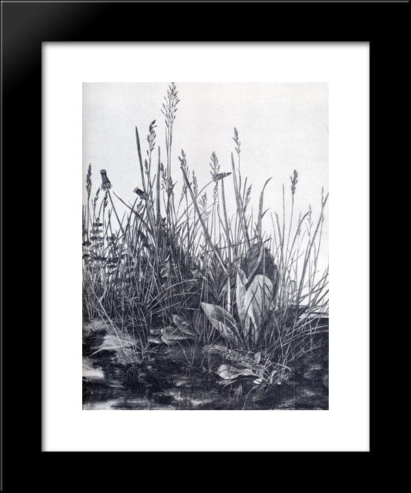 The So-Called Great Piece Of Turf 20x24 Black Modern Wood Framed Art Print Poster by Durer, Albrecht