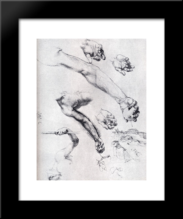 Three Studies From Nature For Adam'S Arms In The 1504 20x24 Black Modern Wood Framed Art Print Poster by Durer, Albrecht