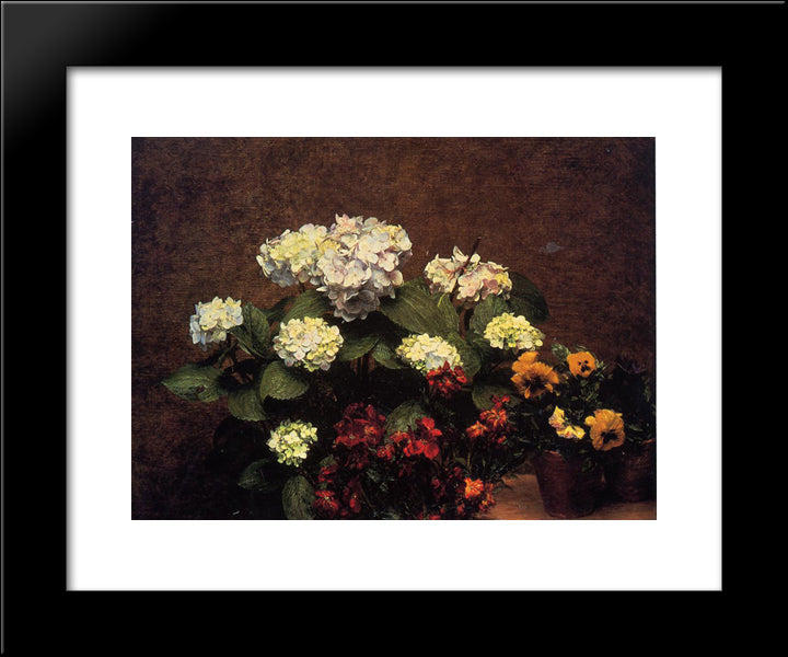Hydrangias, Cloves And Two Pots Of Pansies 20x24 Black Modern Wood Framed Art Print Poster by Fantin Latour, Henri