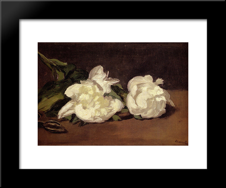 Branch Of White Peonies With Pruning Shears 20x24 Black Modern Wood Framed Art Print Poster by Manet, Edouard