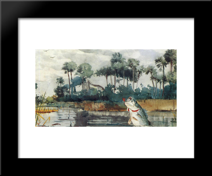 Black Bass, Florida 20x24 Black Modern Wood Framed Art Print Poster by Homer, Winslow