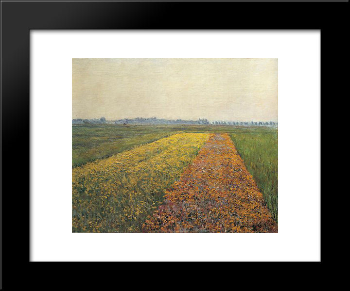 The Yellow Fields At Gennevilliers 20x24 Black Modern Wood Framed Art Print Poster by Caillebotte, Gustave