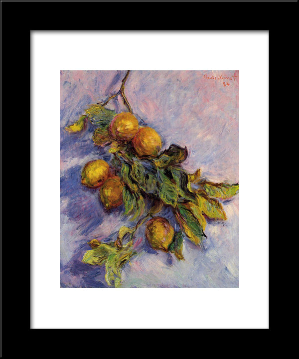 Branch Of Lemons 20x24 Black Modern Wood Framed Art Print Poster by Monet, Claude