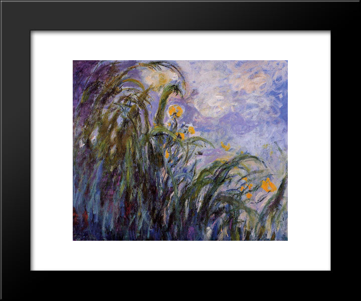 Yellow Irises 20x24 Black Modern Wood Framed Art Print Poster by Monet, Claude