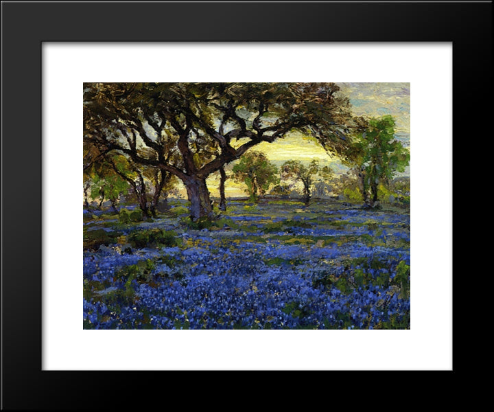 Old Live Oak Tree And Bluebonnets On The West Texas Military Grounds, San Antonio 20x24 Black Modern Wood Framed Art Print Poster by Onderdonk, Robert Julian