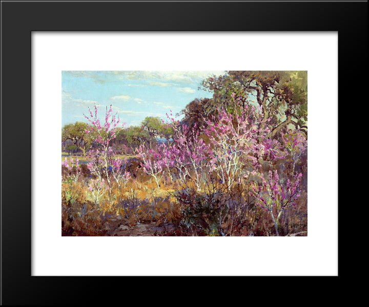 Redbud Tree In Bloom At Leon Springs, San Antonio 20x24 Black Modern Wood Framed Art Print Poster by Onderdonk, Robert Julian