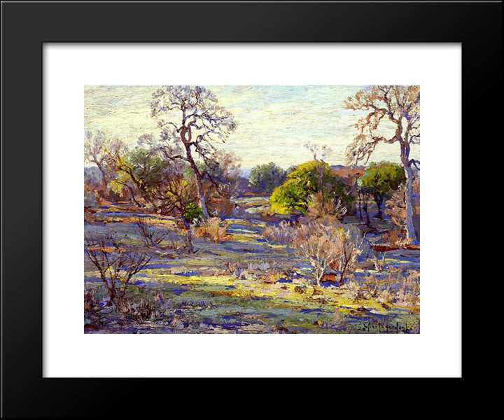 Late Afternoon, Alamo Heights, San Antonio, Texas 20x24 Black Modern Wood Framed Art Print Poster by Onderdonk, Robert Julian