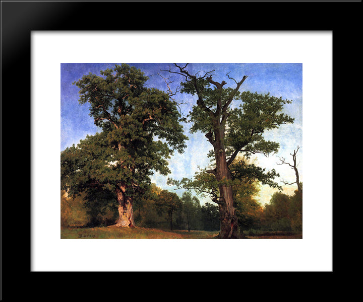 Pioneers Of The Woods 20x24 Black Modern Wood Framed Art Print Poster by Bierstadt, Albert