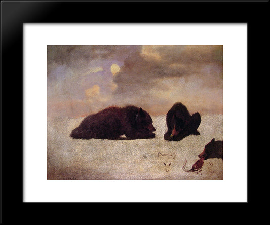 Grizzly Bears 20x24 Black Modern Wood Framed Art Print Poster by Bierstadt, Albert