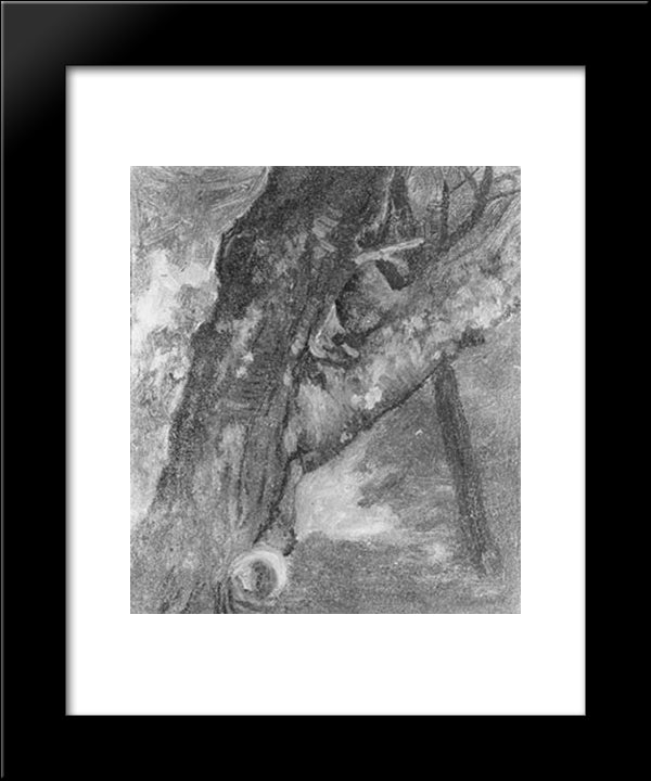Study Of A Tree 20x24 Black Modern Wood Framed Art Print Poster by Bierstadt, Albert