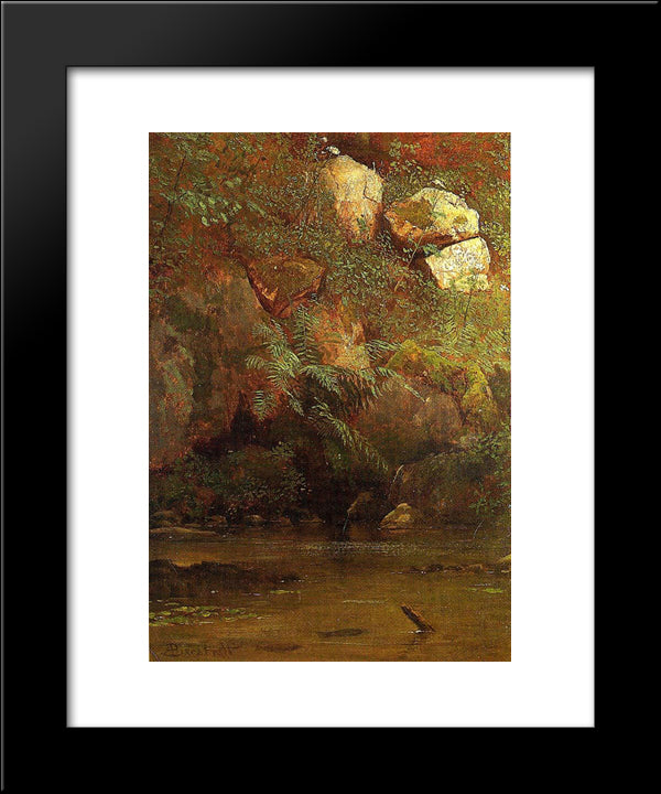 Ferns And Rocks On An Embankment 20x24 Black Modern Wood Framed Art Print Poster by Bierstadt, Albert