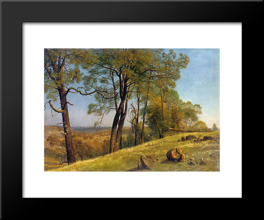 Landscape, Rockland County, California 20x24 Black Modern Wood Framed Art Print Poster by Bierstadt, Albert