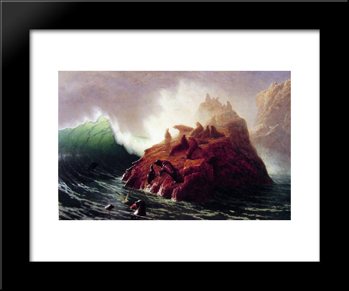 Seal Rock 20x24 Black Modern Wood Framed Art Print Poster by Bierstadt, Albert
