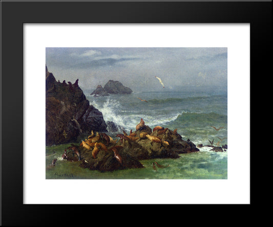Seal Rocks, Pacific Ocean, California 20x24 Black Modern Wood Framed Art Print Poster by Bierstadt, Albert