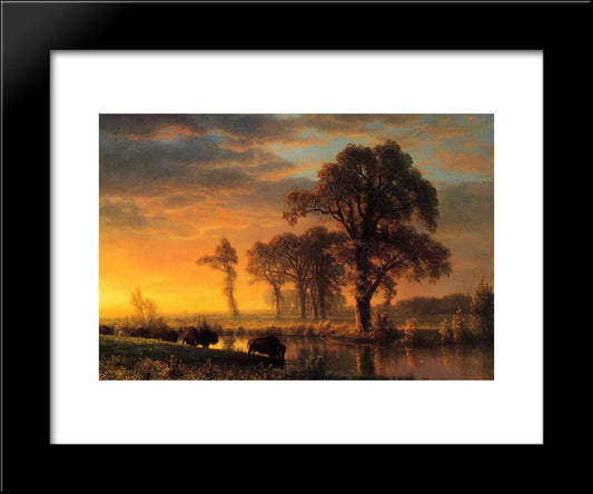 Western Kansas 20x24 Black Modern Wood Framed Art Print Poster by Bierstadt, Albert