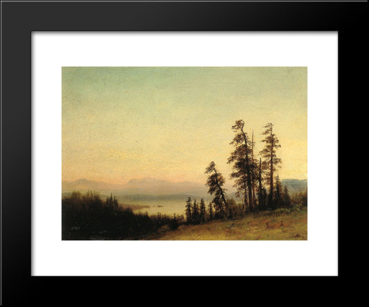 Landscape With Deer 20x24 Black Modern Wood Framed Art Print Poster by Bierstadt, Albert