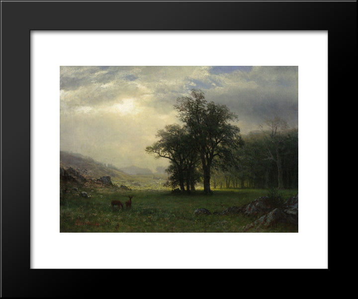 The Open Glen 20x24 Black Modern Wood Framed Art Print Poster by Bierstadt, Albert