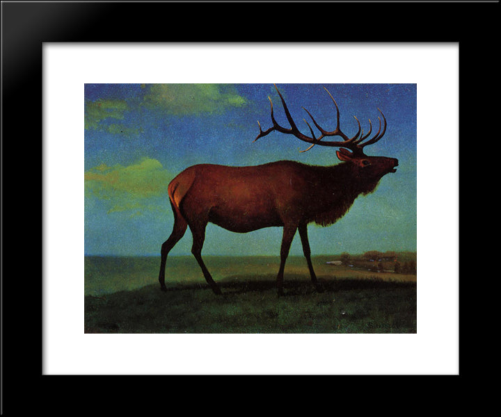 Elk 20x24 Black Modern Wood Framed Art Print Poster by Bierstadt, Albert