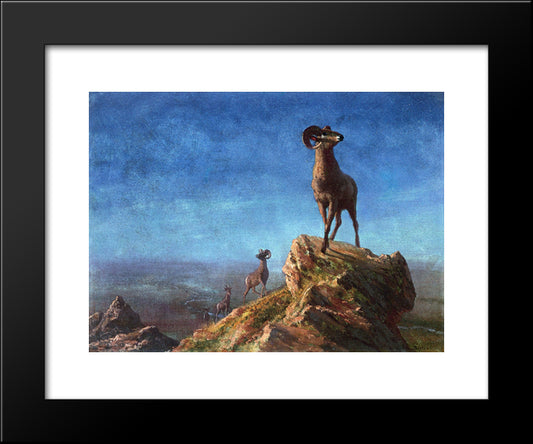 Rocky Mountain Big Horns 20x24 Black Modern Wood Framed Art Print Poster by Bierstadt, Albert