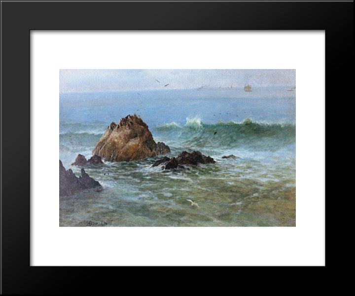 Seal Rocks On Pacific Coast, California 20x24 Black Modern Wood Framed Art Print Poster by Bierstadt, Albert