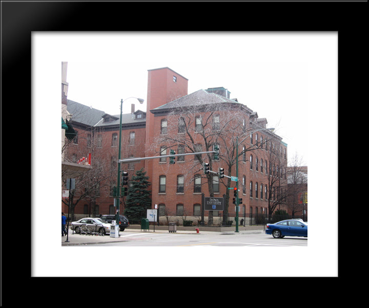 Depaul University Chicago 20x24 Black Modern Wood Framed Art Print Poster