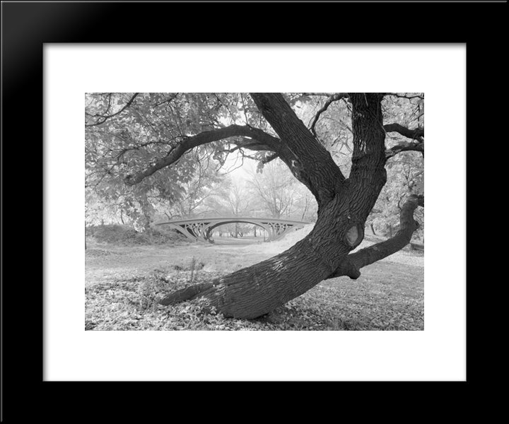 New York City Cetral Park Bridge 20x24 Black Modern Wood Framed Art Print Poster