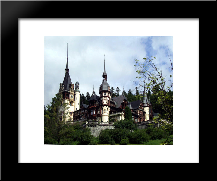 Peles Castle 20x24 Black Modern Wood Framed Art Print Poster