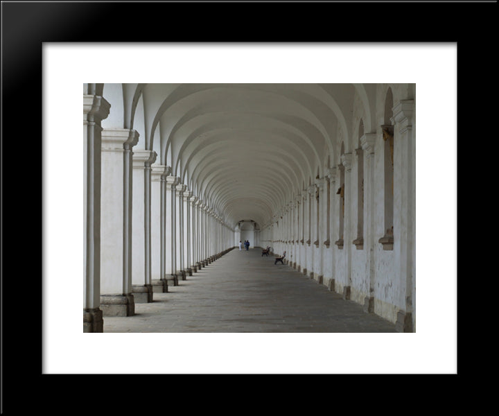 Galery In Flower Garden, Czech Republic 20x24 Black Modern Wood Framed Art Print Poster