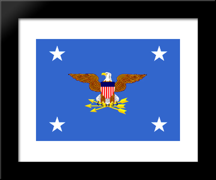 Secretary Of Defense Flag 20x24 Black Modern Wood Framed Art Print Poster