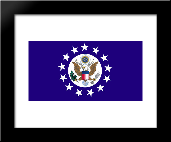 Ambassador Of The United States Flag 20x24 Black Modern Wood Framed Art Print Poster