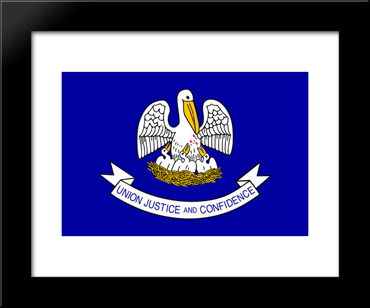 Louisiana State Flag 20x24 Black Modern Wood Framed Art Print Poster