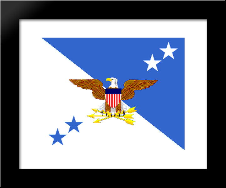 Chairman Of The Joint Chiefs Of Staff Flag 20x24 Black Modern Wood Framed Art Print Poster