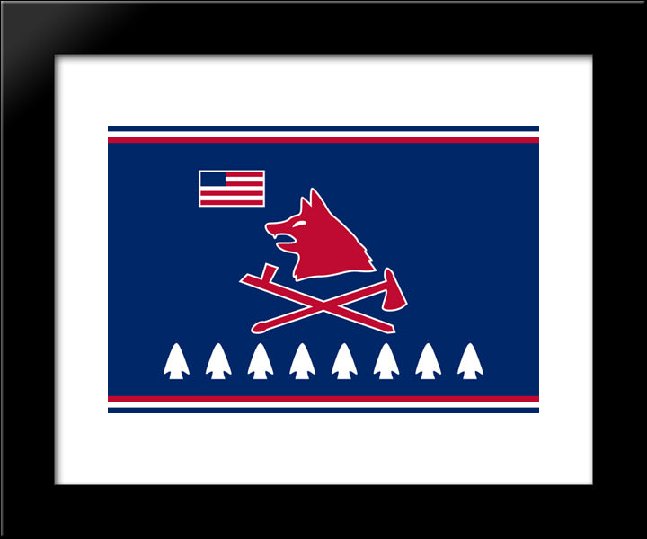 Native American Pawnee Nation Flag 20x24 Black Modern Wood Framed Art Print Poster