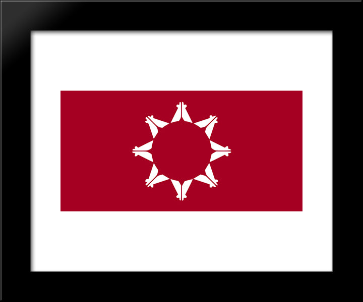 Native American Pine Ridge Flag 20x24 Black Modern Wood Framed Art Print Poster