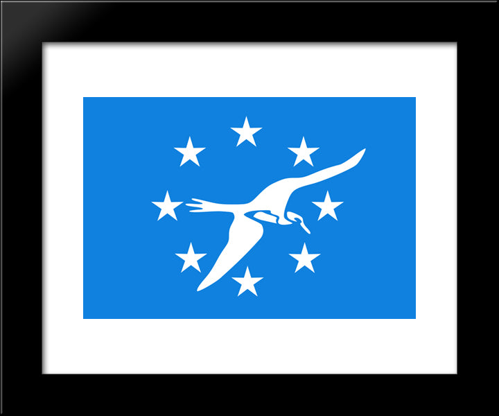 Corpus Christi, Texas Flag 20x24 Black Modern Wood Framed Art Print Poster