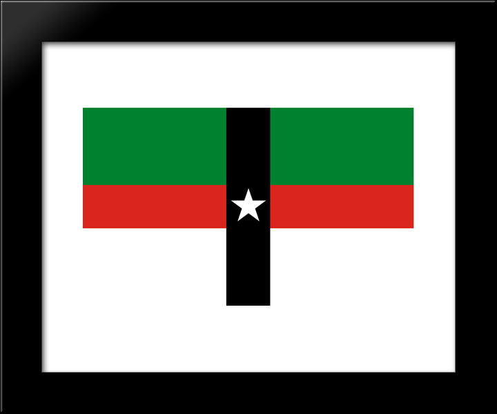 Denison, Texas Flag 20x24 Black Modern Wood Framed Art Print Poster