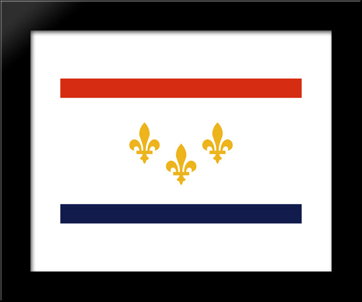 New Orleans, Louisiana Flag 20x24 Black Modern Wood Framed Art Print Poster