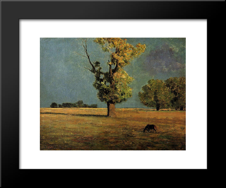 Peyrelebade Landscape 20x24 Black Modern Wood Framed Art Print Poster by Redon, Odilon