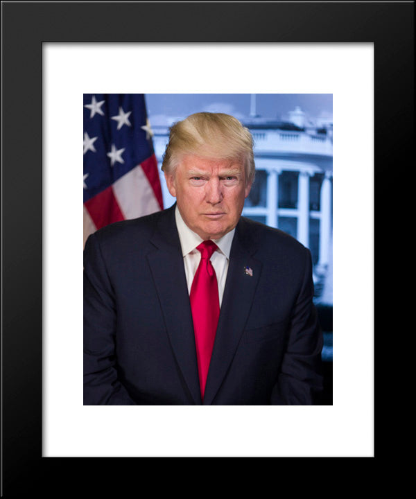 Official Portrait Of President Donald Trump 20x24 Black Modern Wood Framed Art Print Poster by Library of Congress